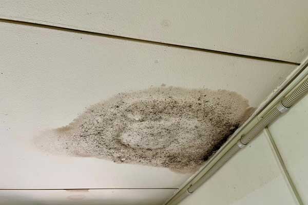 カビの発生・カビ臭い